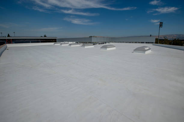 Best Metal Roofing Installation  in Aurora, MO