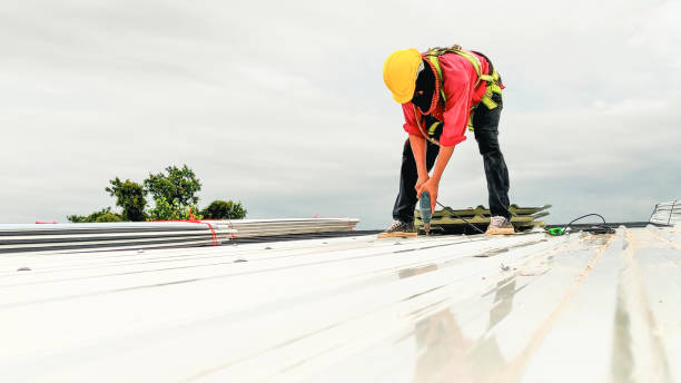 Best Roof Leak Repair  in Aurora, MO
